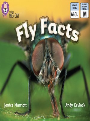 cover image of Collins Big Cat – Fly Facts
